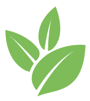 Plant Removal Service