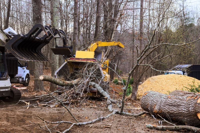 Top Rated Products for Plant Removal Service