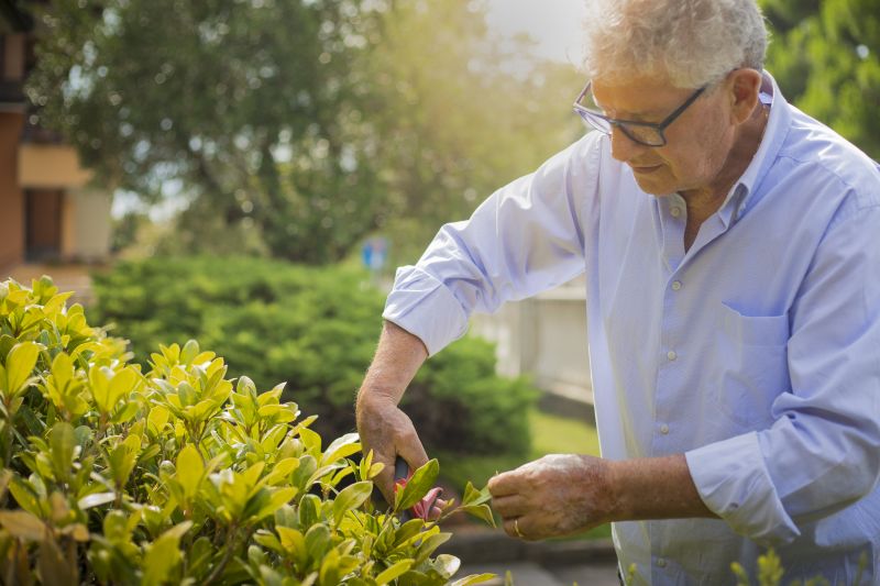 Plant Removal Service