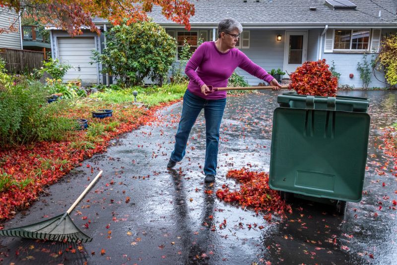 Cleaned Up Lawn with Fallen Leaves