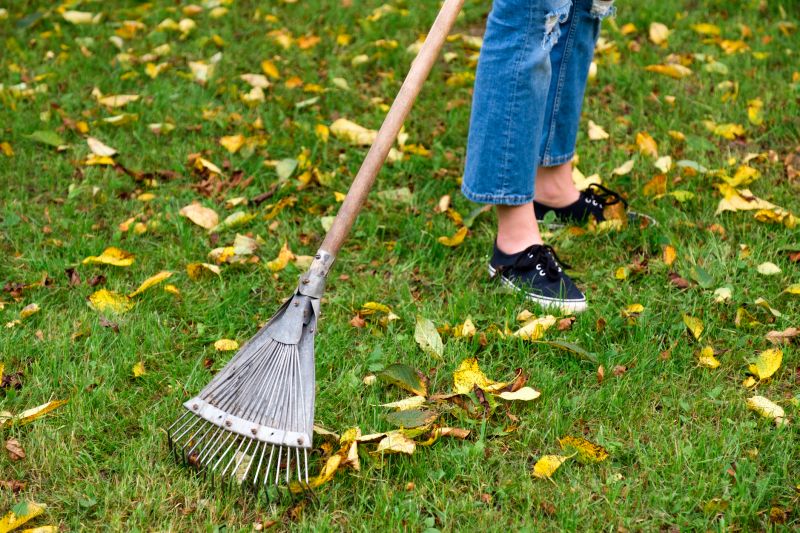 Tools Used for Fall Cleanup