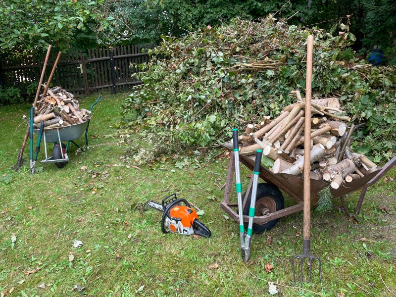 Plant Removal Service Cost — Cost of Plant Removal Service