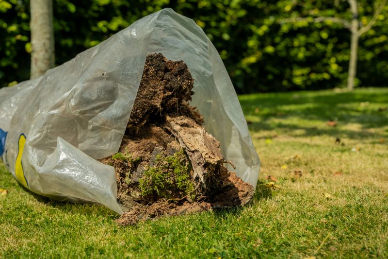 Plant Removal Service Cost — Cost of Plant Removal Service