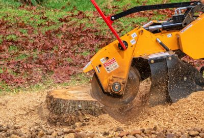 Stump Grinding Machinery