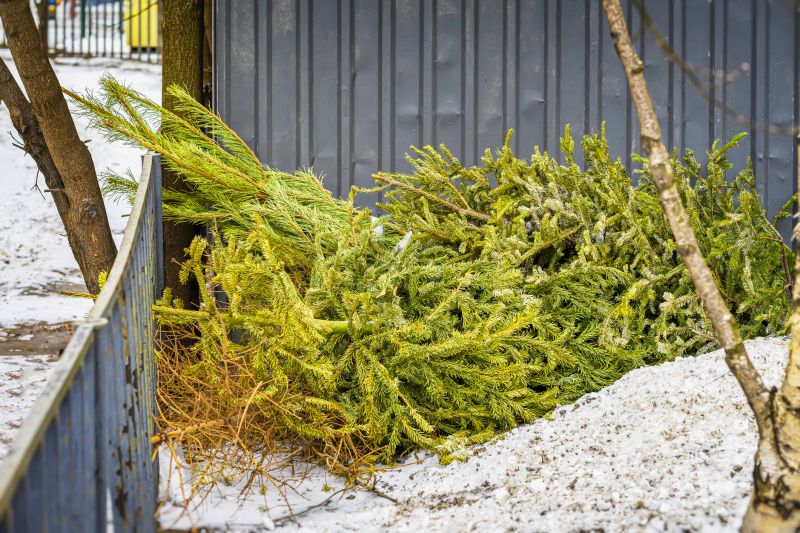 Winter Plant Removal