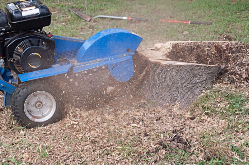 Stump Grinding and Removal
