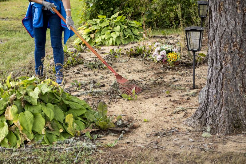 Plant Removal Service