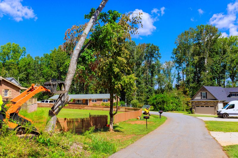 Plant Removal Service