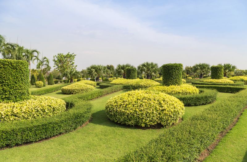 Trimmed Shrubs with Symmetrical Shape