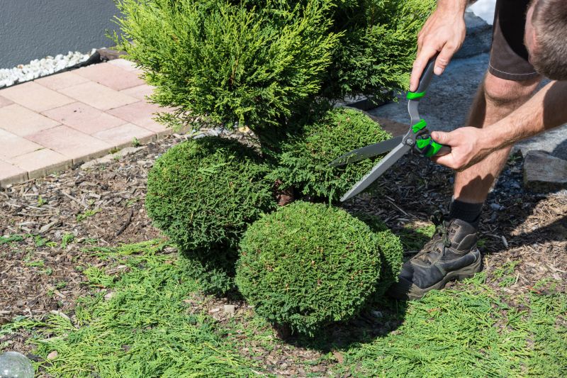 Pruned Shrubs with Clean Lines