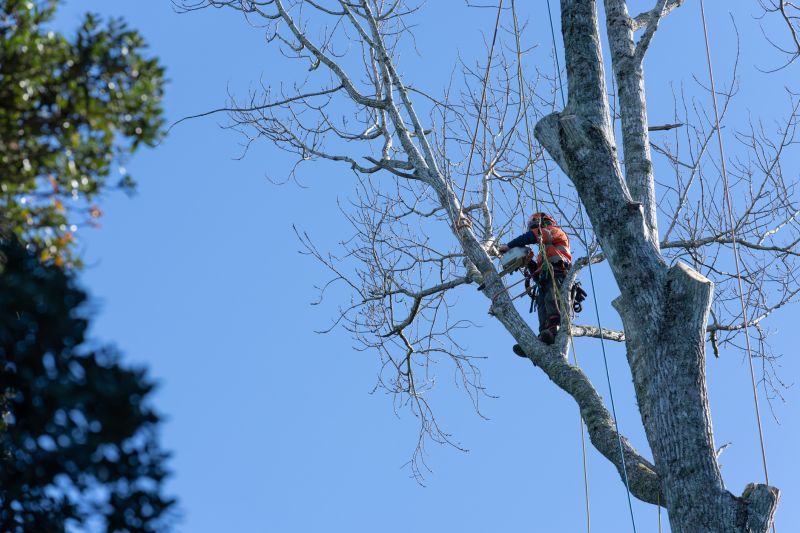 Arborists